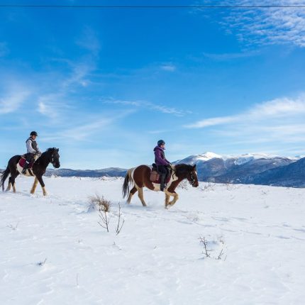 Ride and Ski