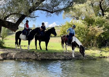 Wine Routes and Wild Horses - Day five - Sturba river 4