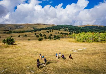Wine Routes and Wild Horses - Day four - Wild Horses 4