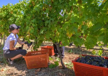 Wine Routes and Wild Horses - Day one - equestrian ranch 6