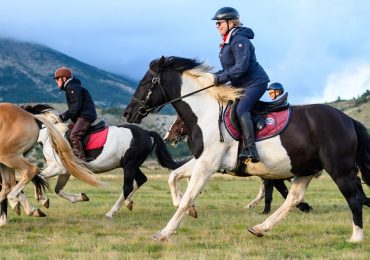 Wine Routes and Wild Horses - Day three - Blidinje 1