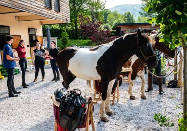 Wine Routes and Wild Horses - Day two - introductory ride 1