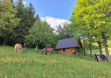 Wine Routes and Wild Horses - Day two - introductory ride 6