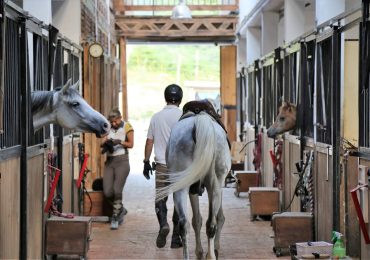 Via Dinarica - Day one - equestrian ranch 5